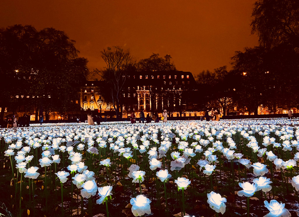 Dalia Salaam Rishani | Latest | November 2022 | Ever After Garden, London